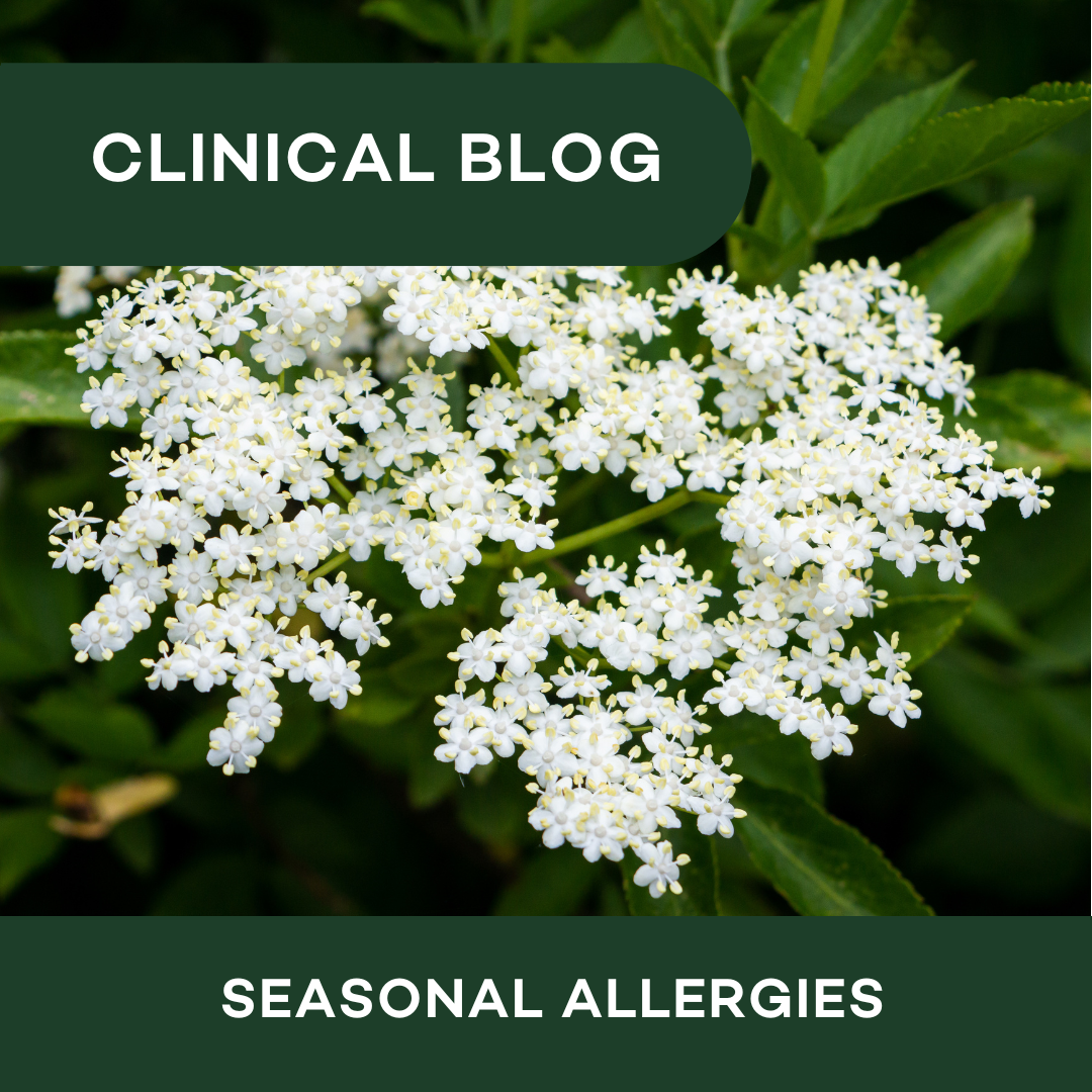 Seasonal Allergies Blog